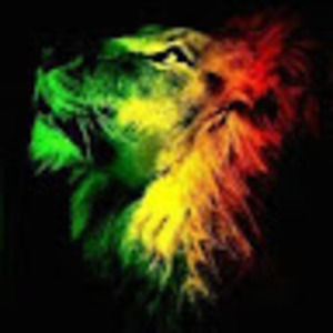 Meet your Posher, Torrence